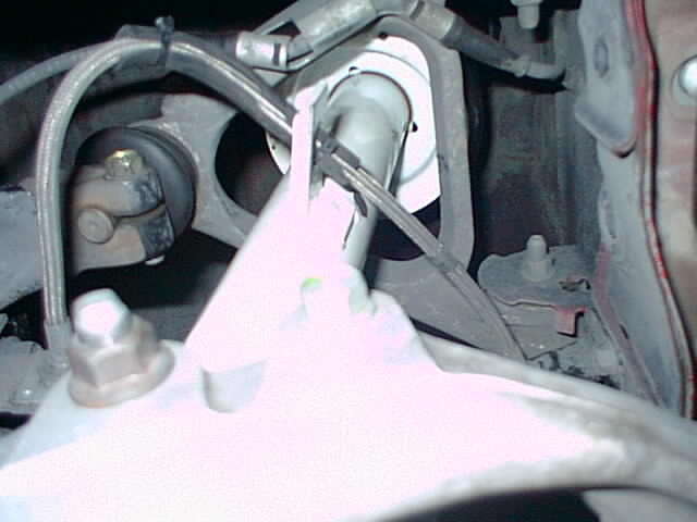 SS brake lines
