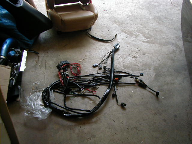 Haltech terminated harness