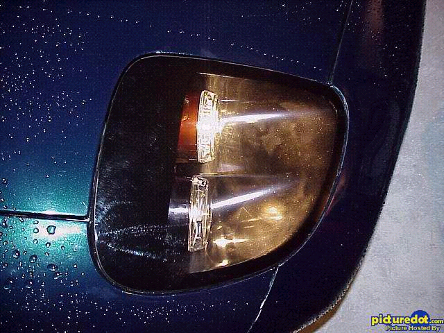 RE Amemiya from mmaragos