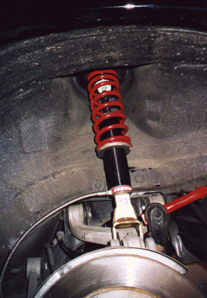 Installed Rear Shock